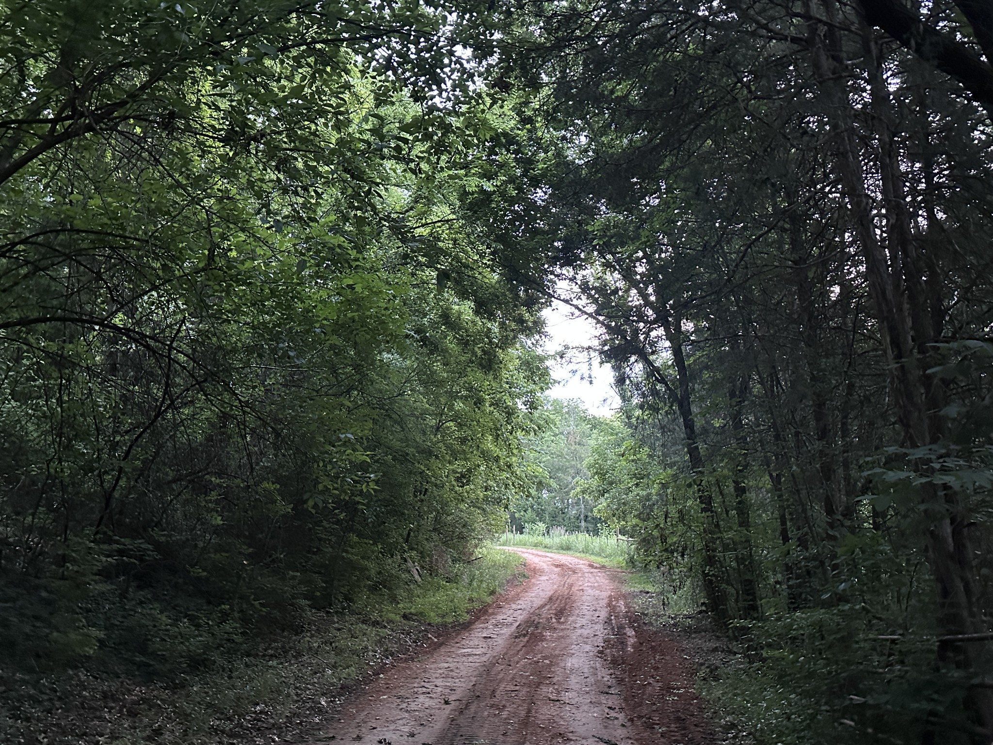 1820 New Highway 7 Columbia TN 38401