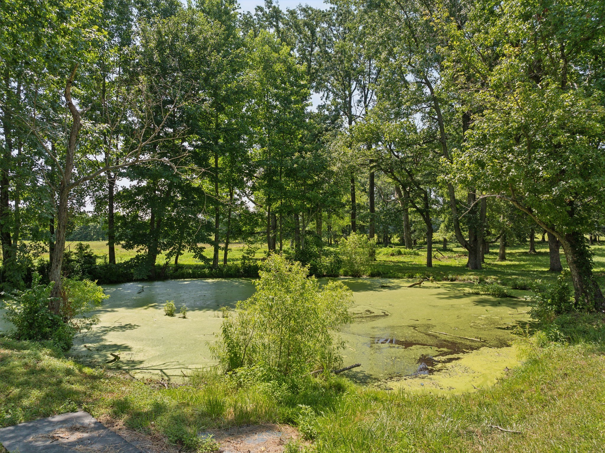 253 Halltown Road Cottontown TN 37048