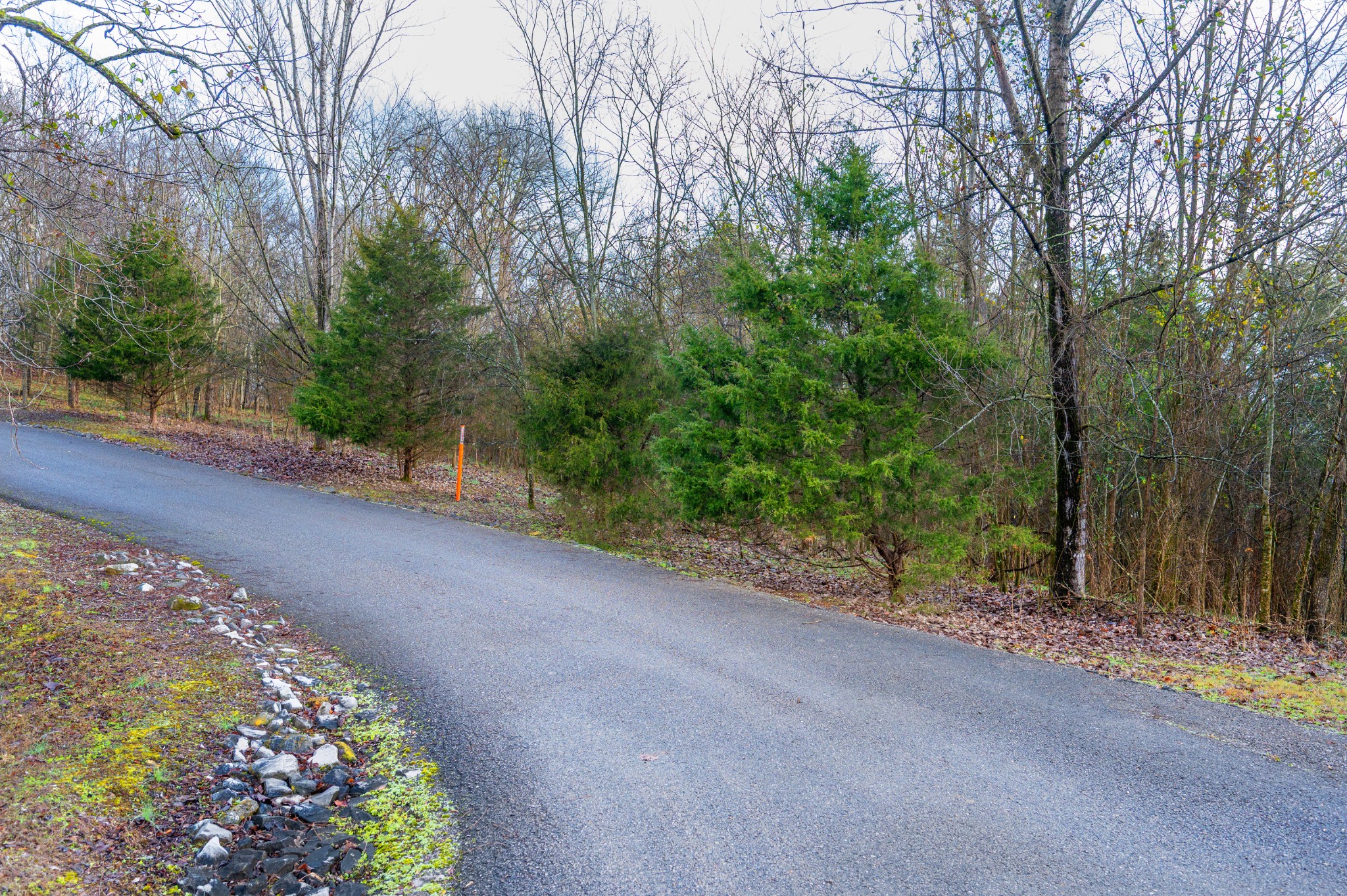 0 Lake Meadow Drive Smithville TN 37166