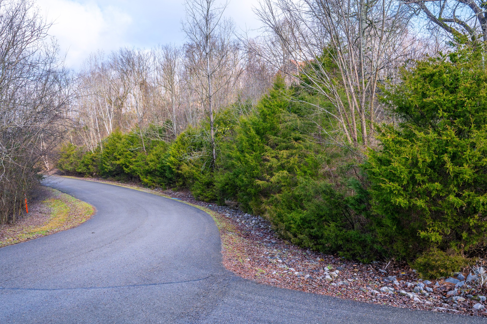 0 Lake Meadow Drive Smithville TN 37166