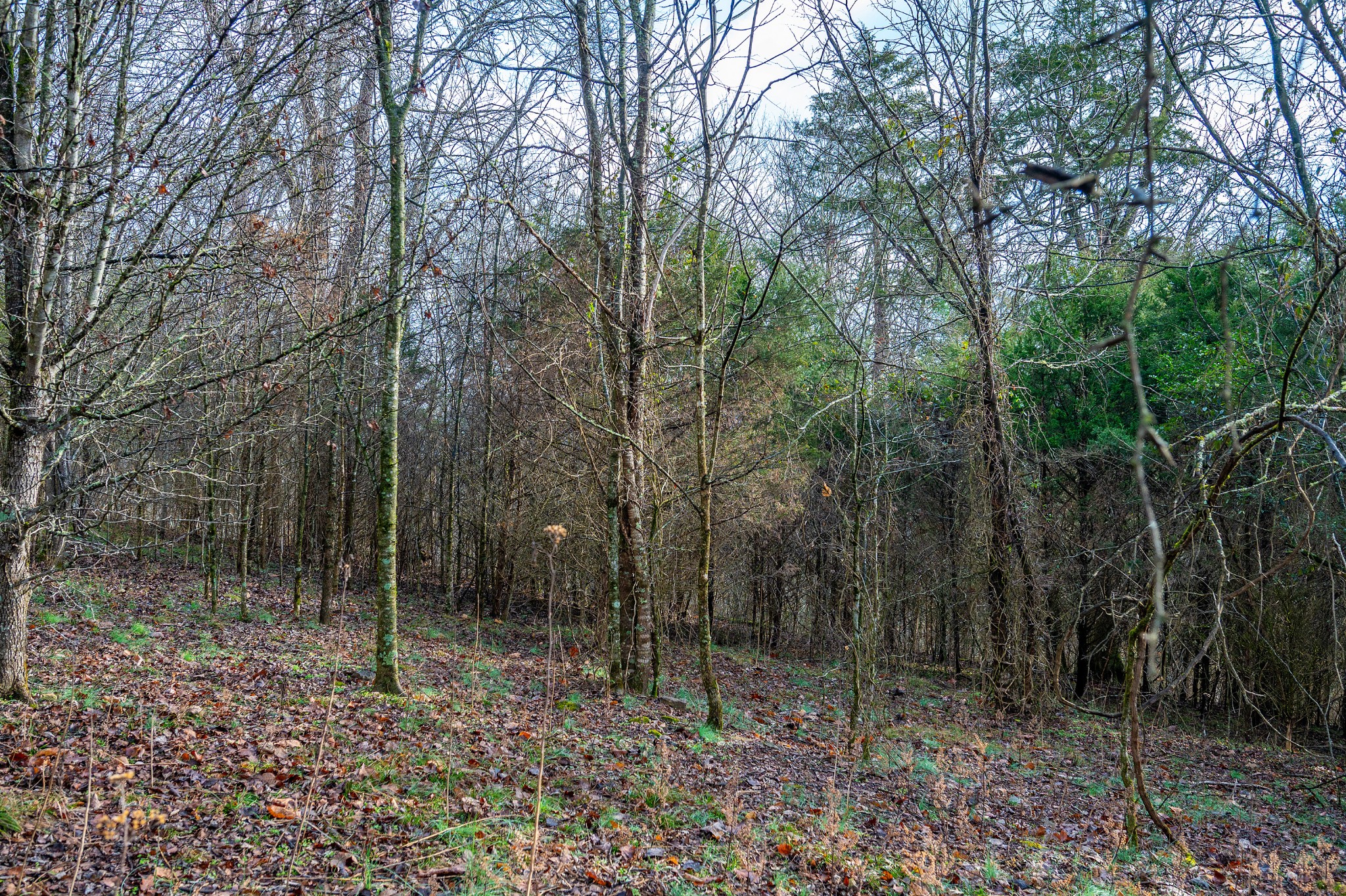 0 Lake Meadow Drive Smithville TN 37166