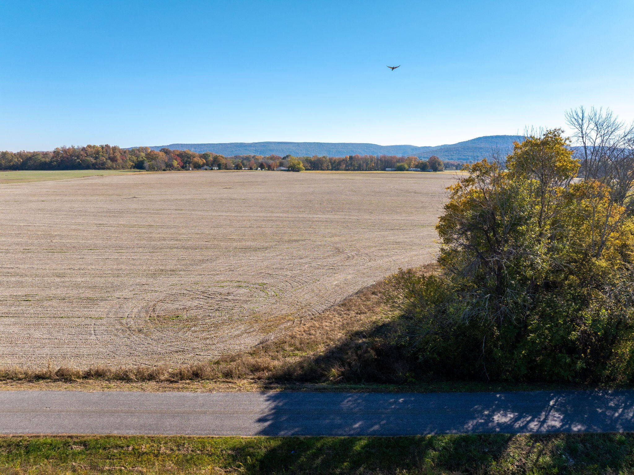 0 Old Airport Road Hillsboro TN 37342