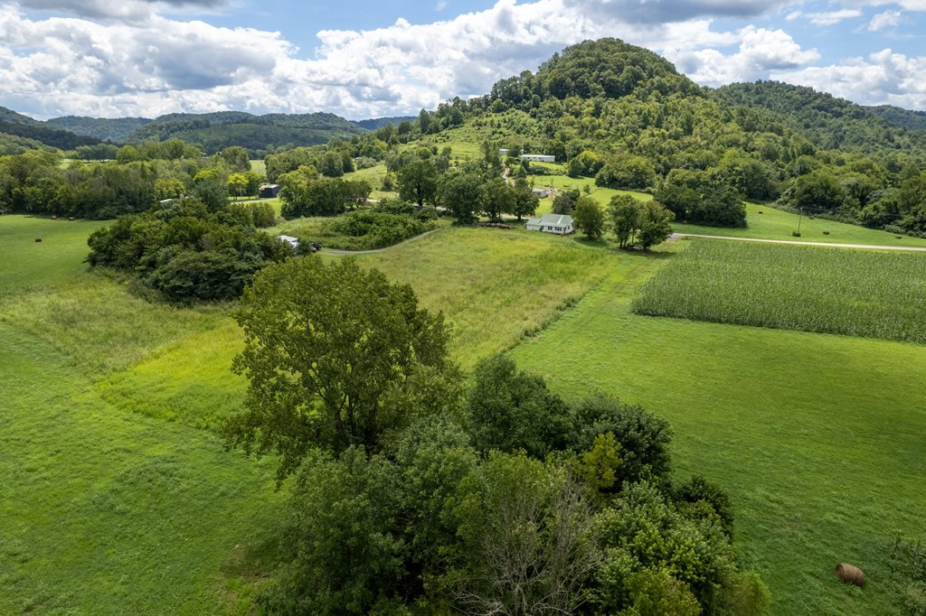 12493 Dodson Branch Gainesboro TN 38562