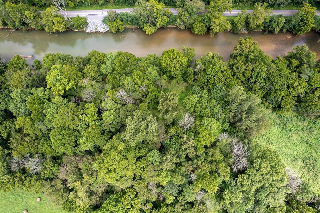 12493 Dodson Branch Gainesboro TN 38562
