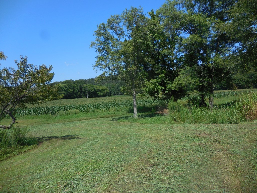 12493 Dodson Branch Gainesboro TN 38562