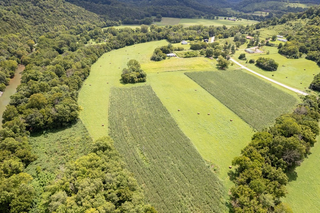 12493 Dodson Branch Gainesboro TN 38562