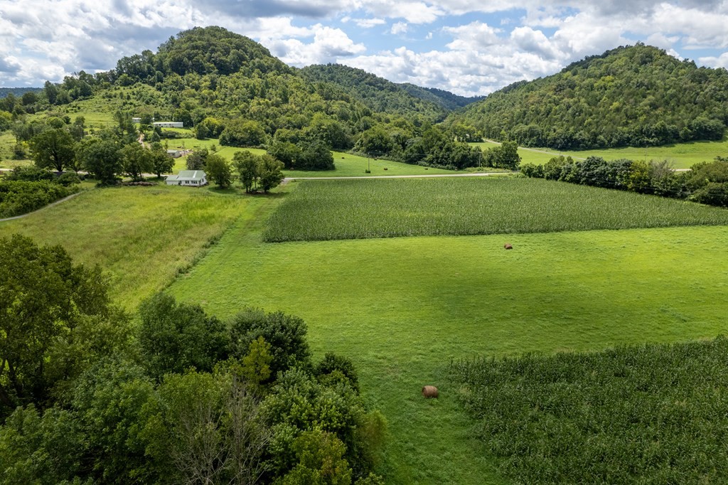 12493 Dodson Branch Gainesboro TN 38562