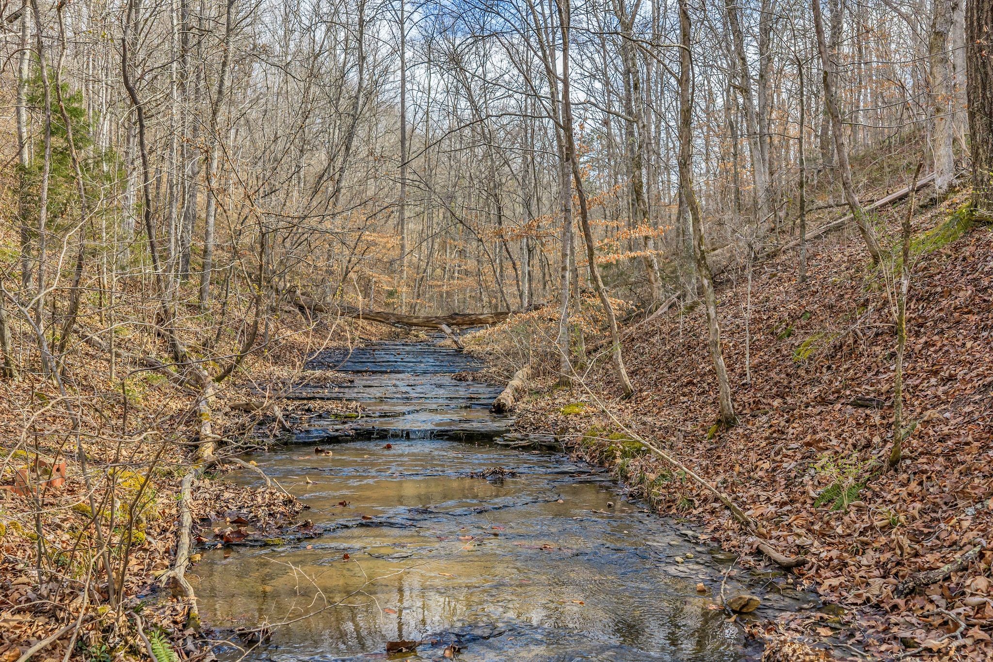 0 Old Sams Creek Road Pegram TN 37143