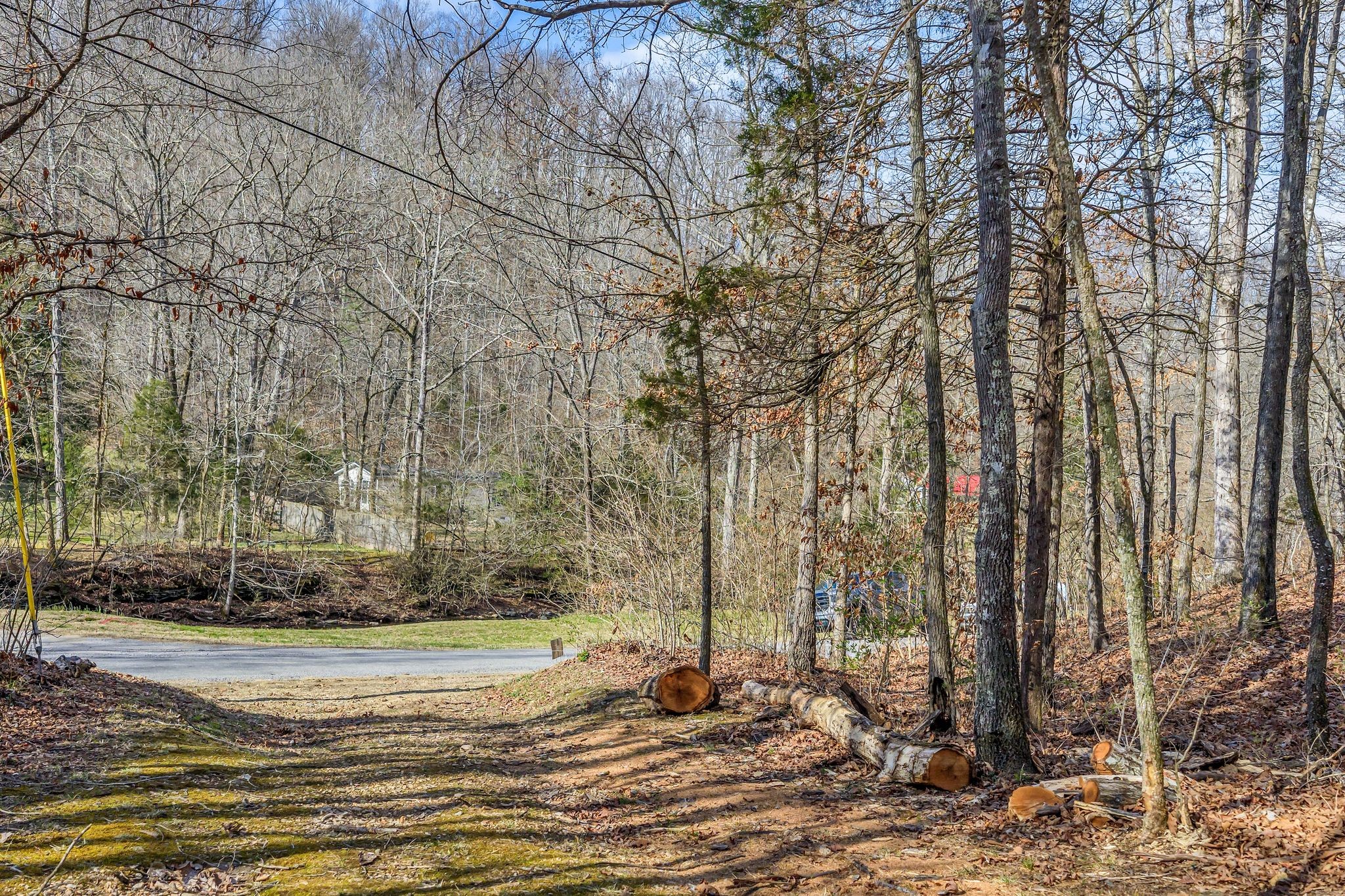 0 Old Sams Creek Road Pegram TN 37143