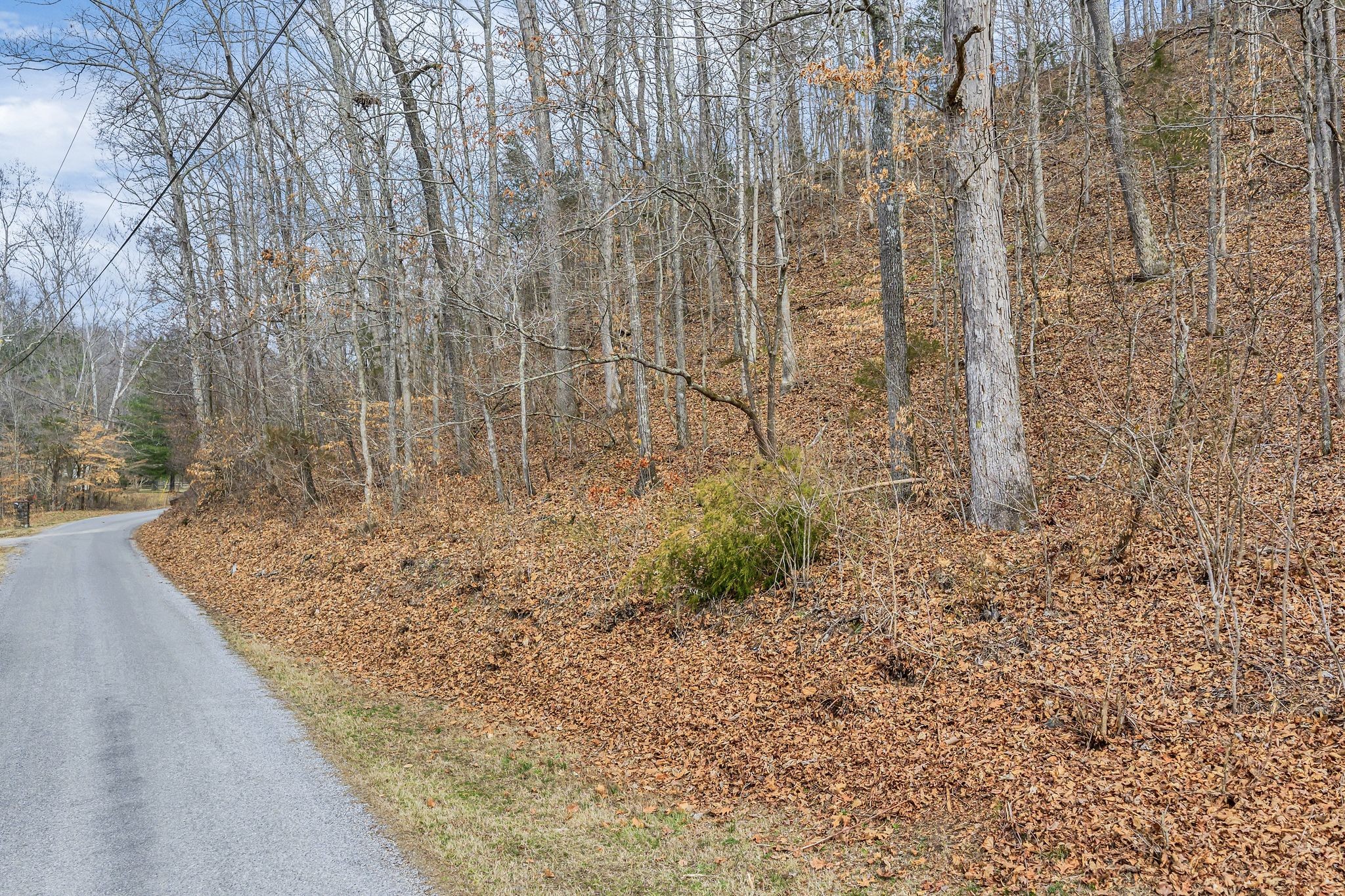 0 Old Sams Creek Road Pegram TN 37143