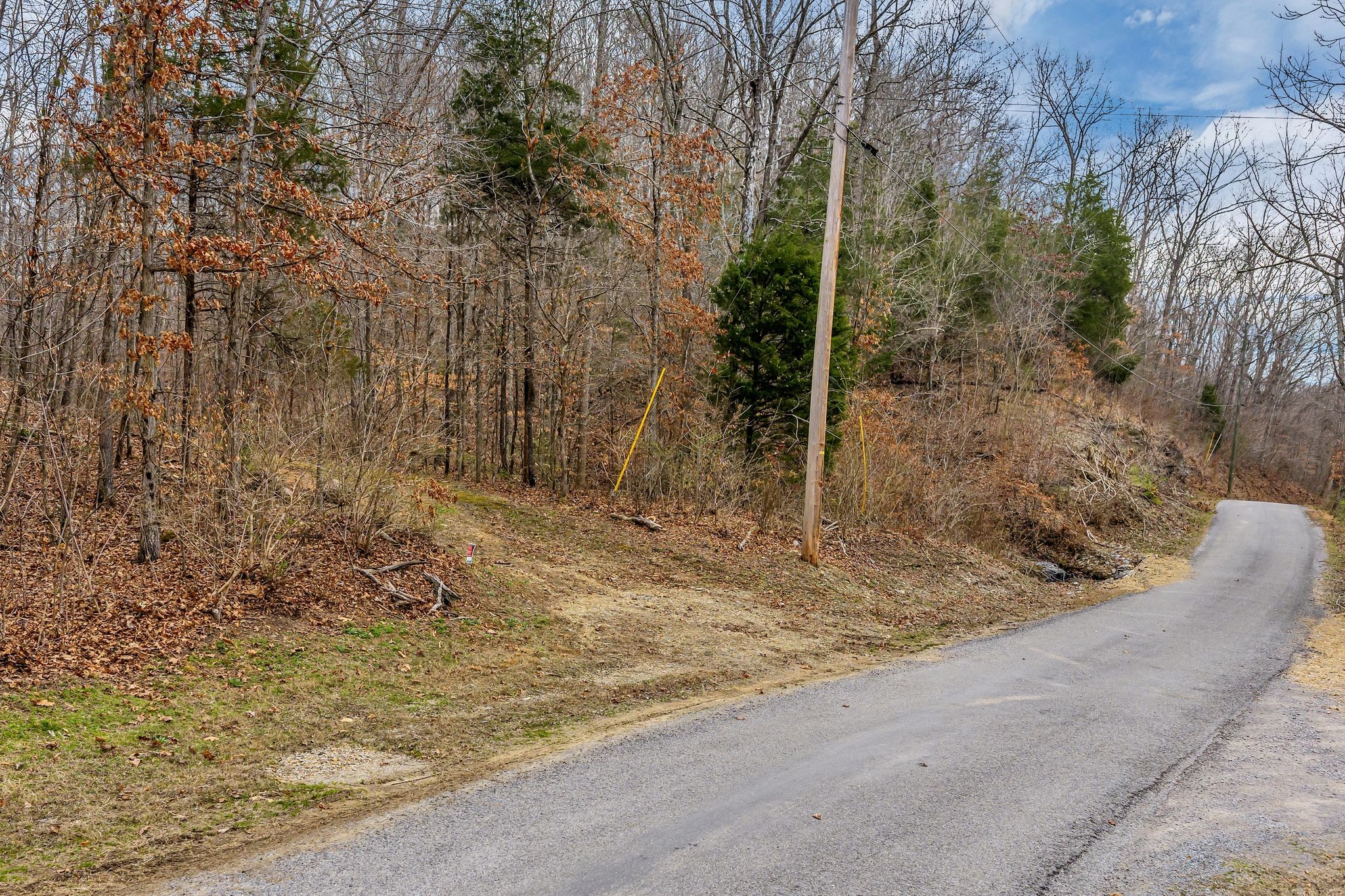 0 Old Sams Creek Road Pegram TN 37143