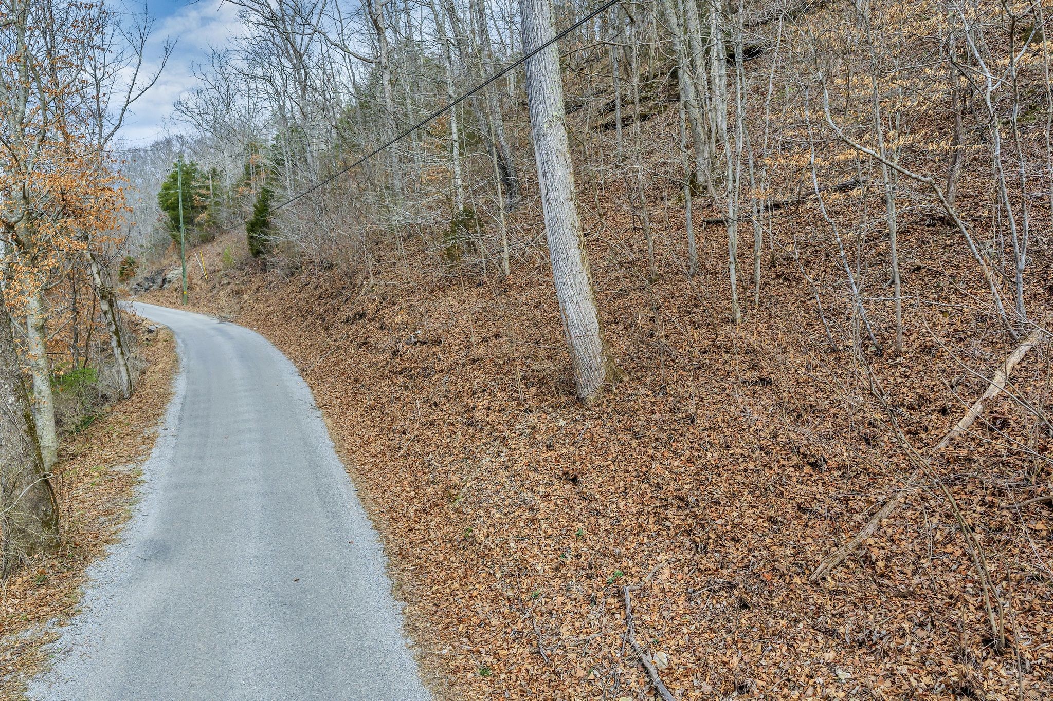 0 Old Sams Creek Road Pegram TN 37143