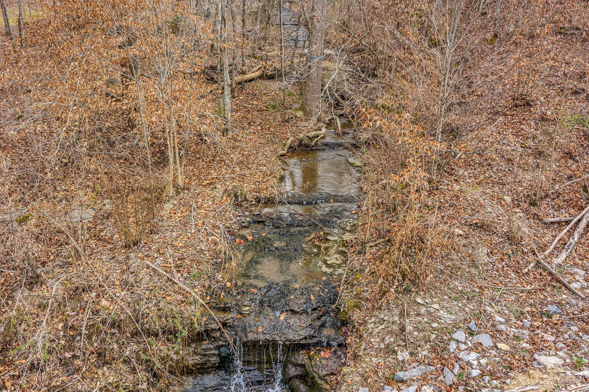 0 Old Sams Creek Road Pegram TN 37143