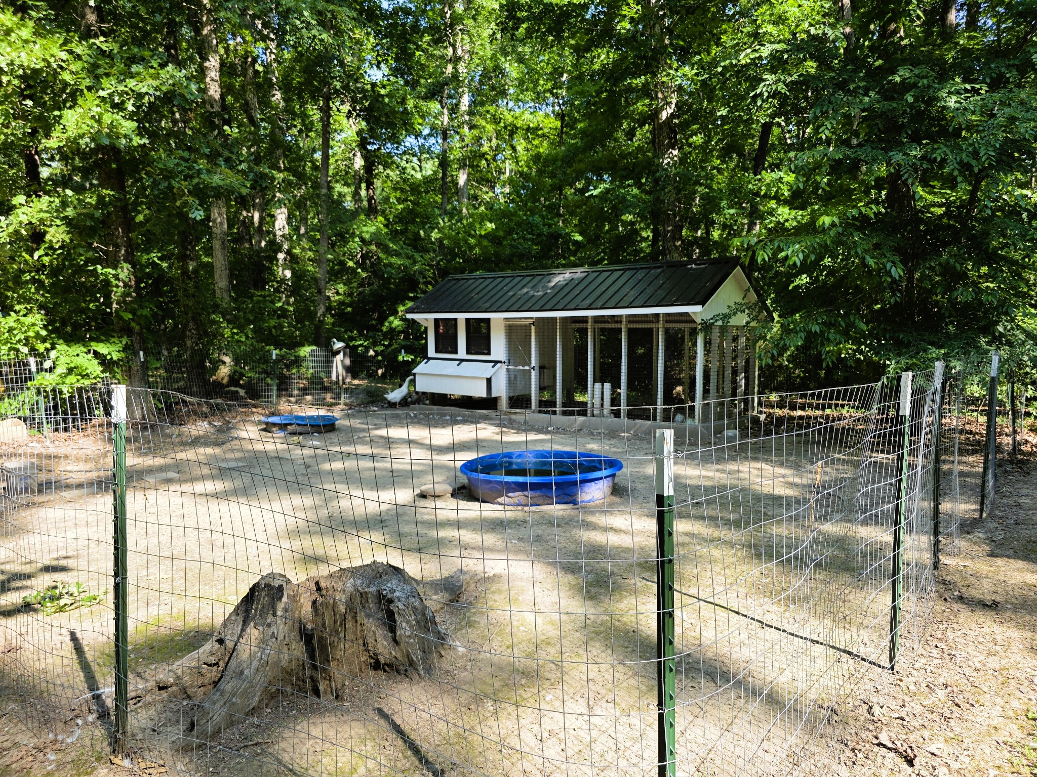 1975 Kelly Road Holladay TN 38341