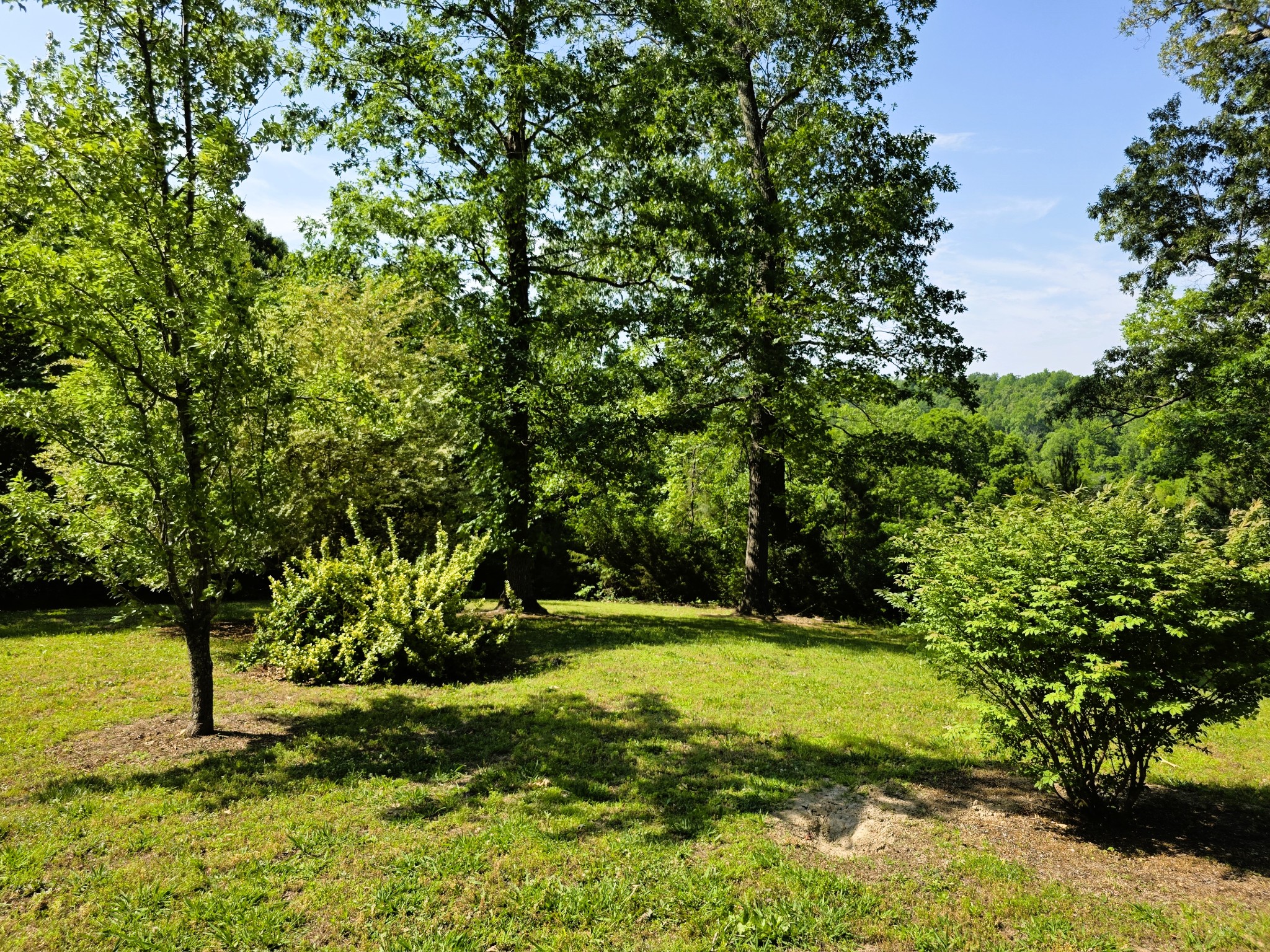 1975 Kelly Road Holladay TN 38341