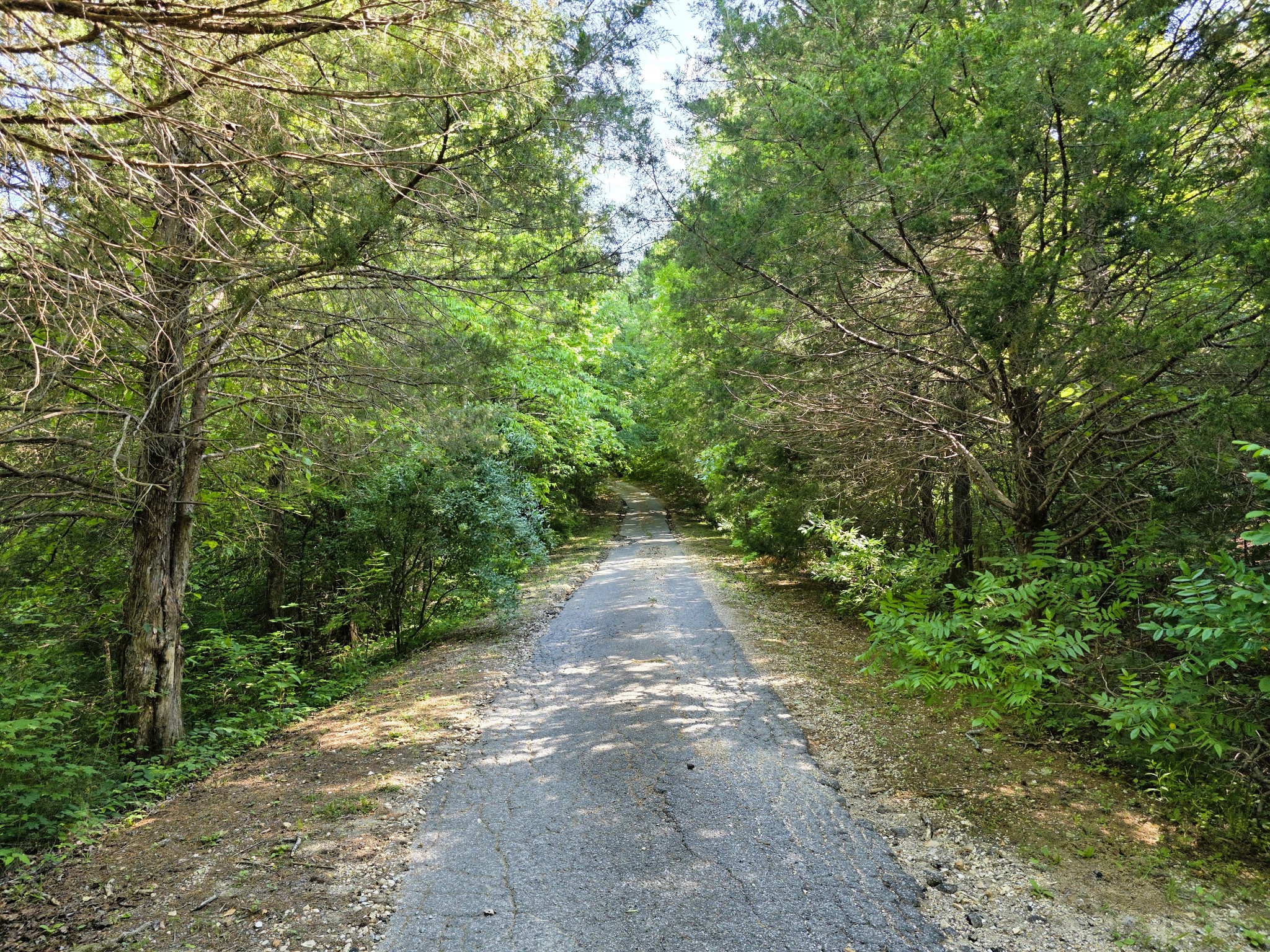 1975 Kelly Road Holladay TN 38341