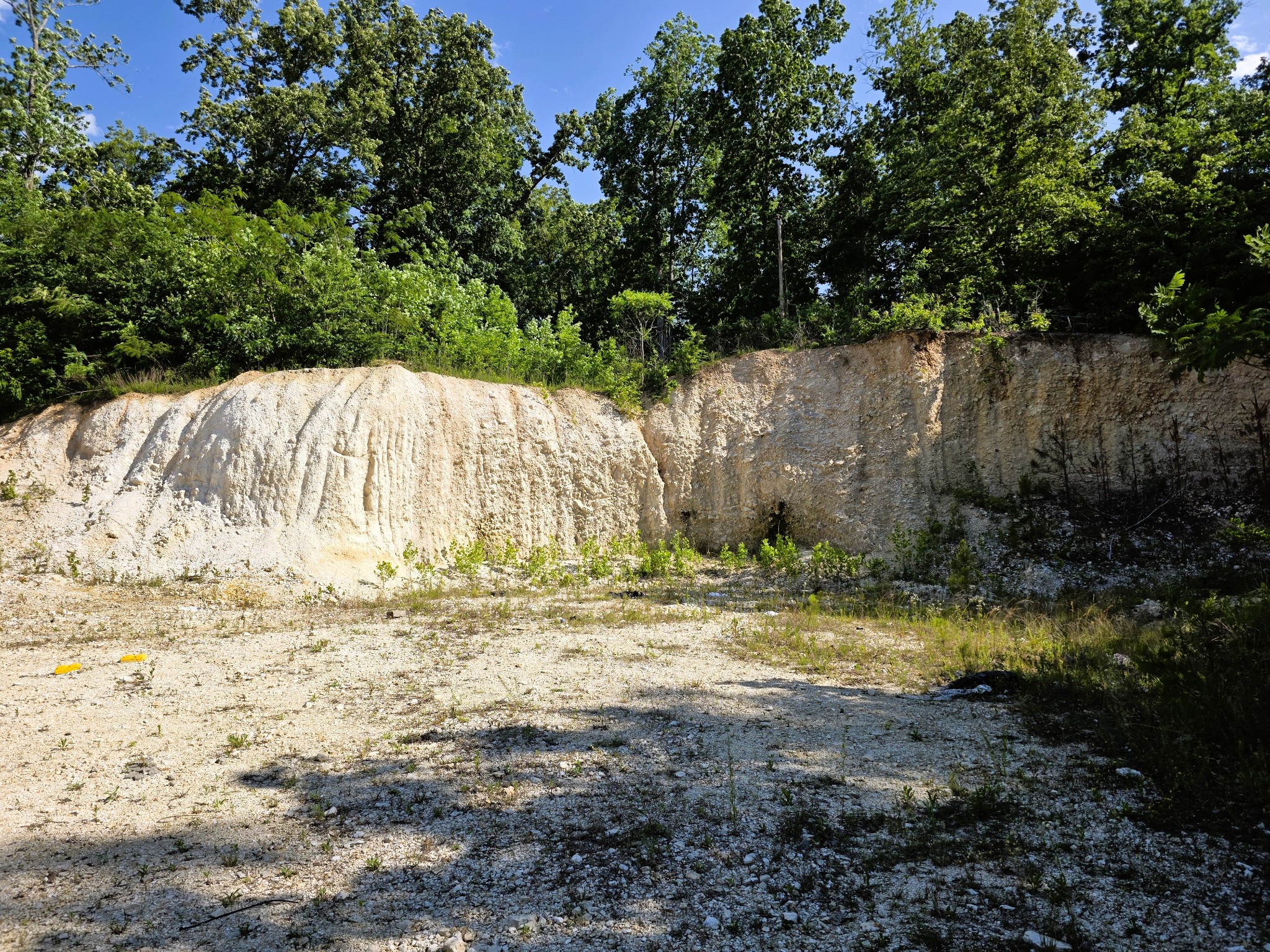 1975 Kelly Road Holladay TN 38341