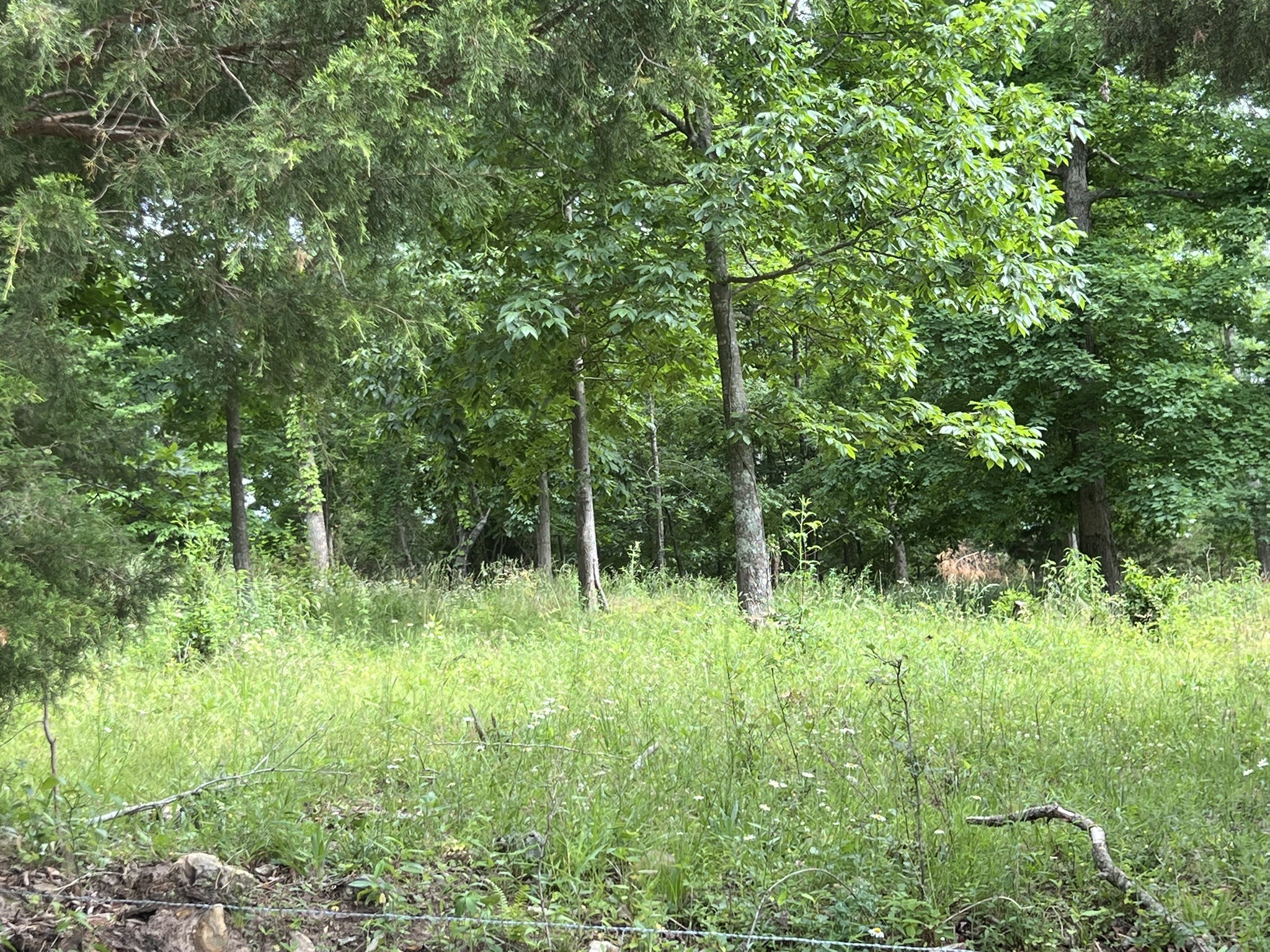 0 W George Durham Road Westmoreland TN 37186