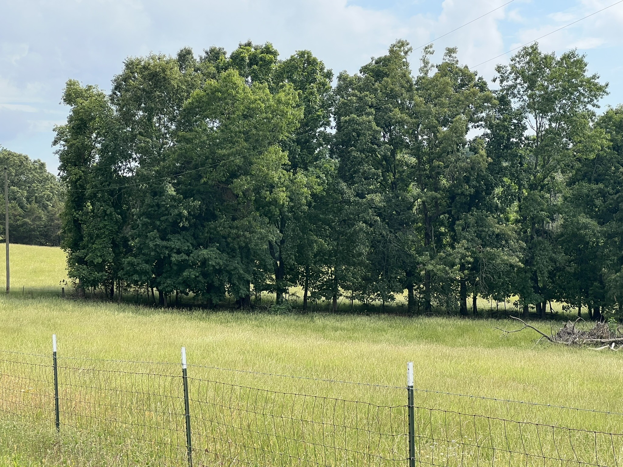 0 W George Durham Road Westmoreland TN 37186
