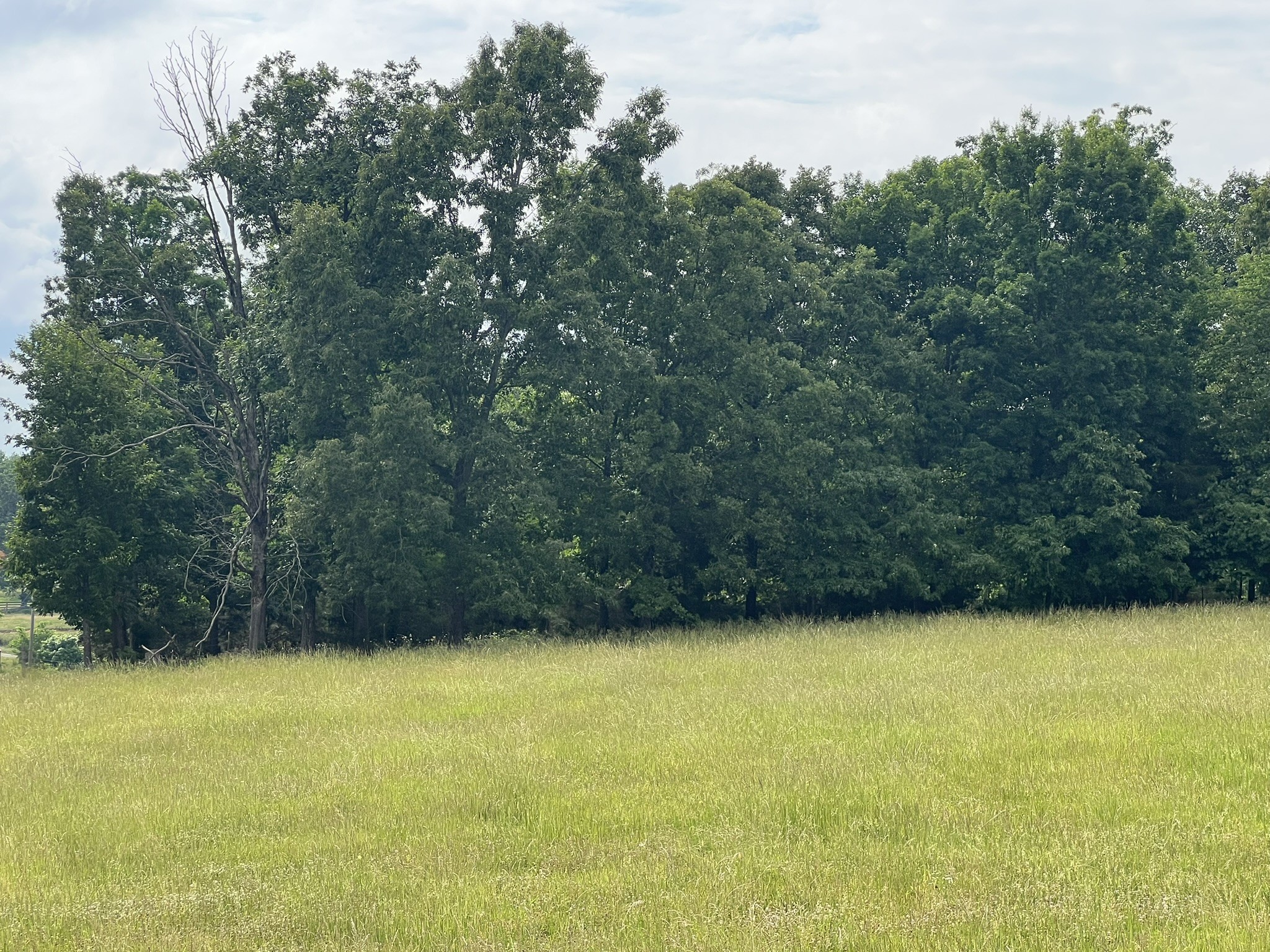 0 W George Durham Road Westmoreland TN 37186