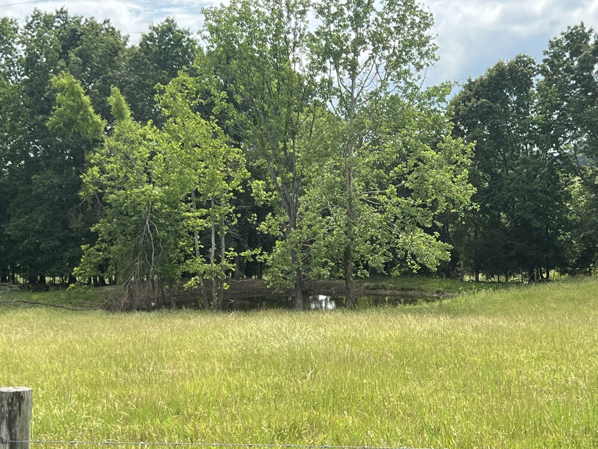 0 W George Durham Road Westmoreland TN 37186