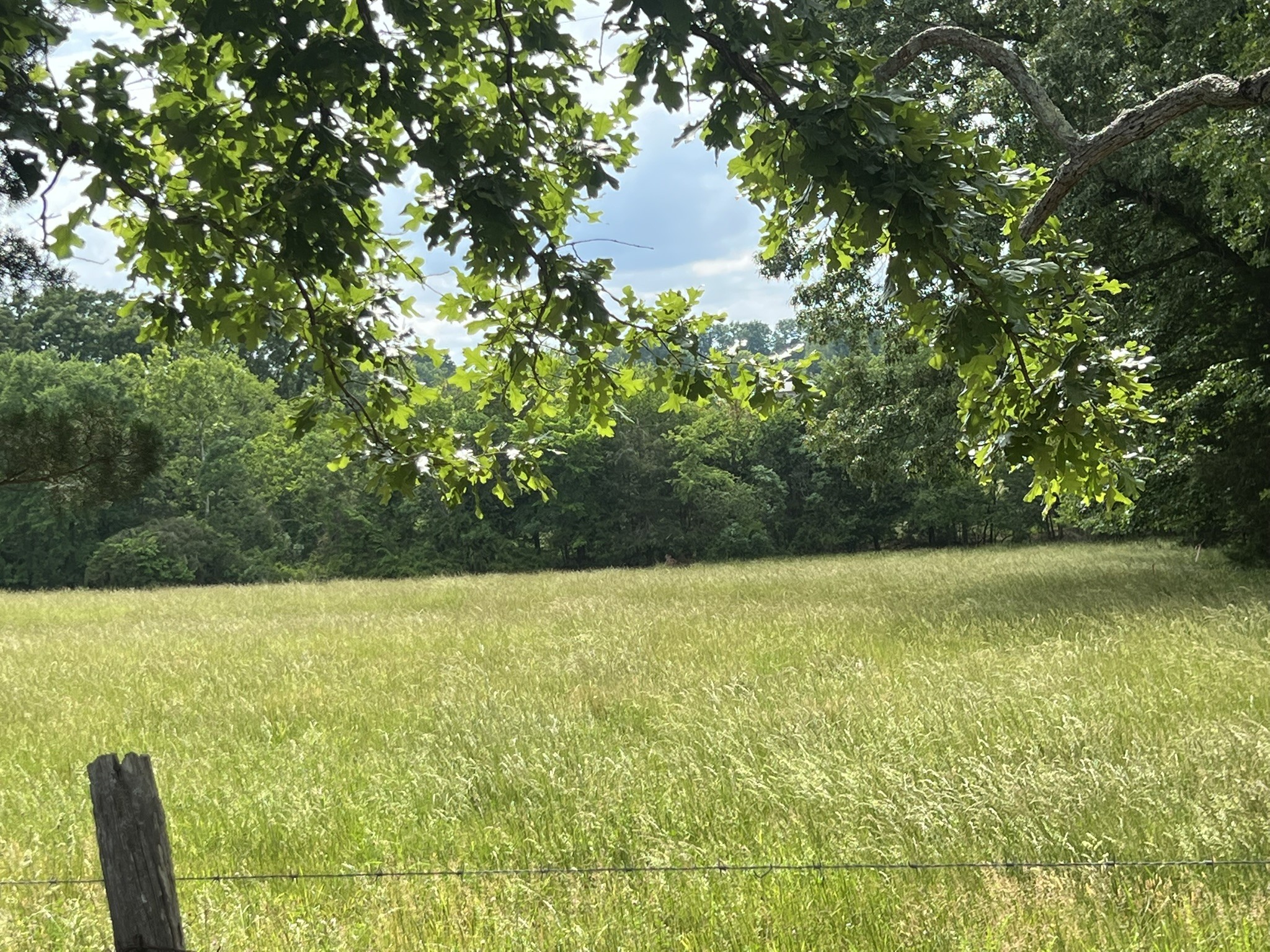 0 W George Durham Road Westmoreland TN 37186