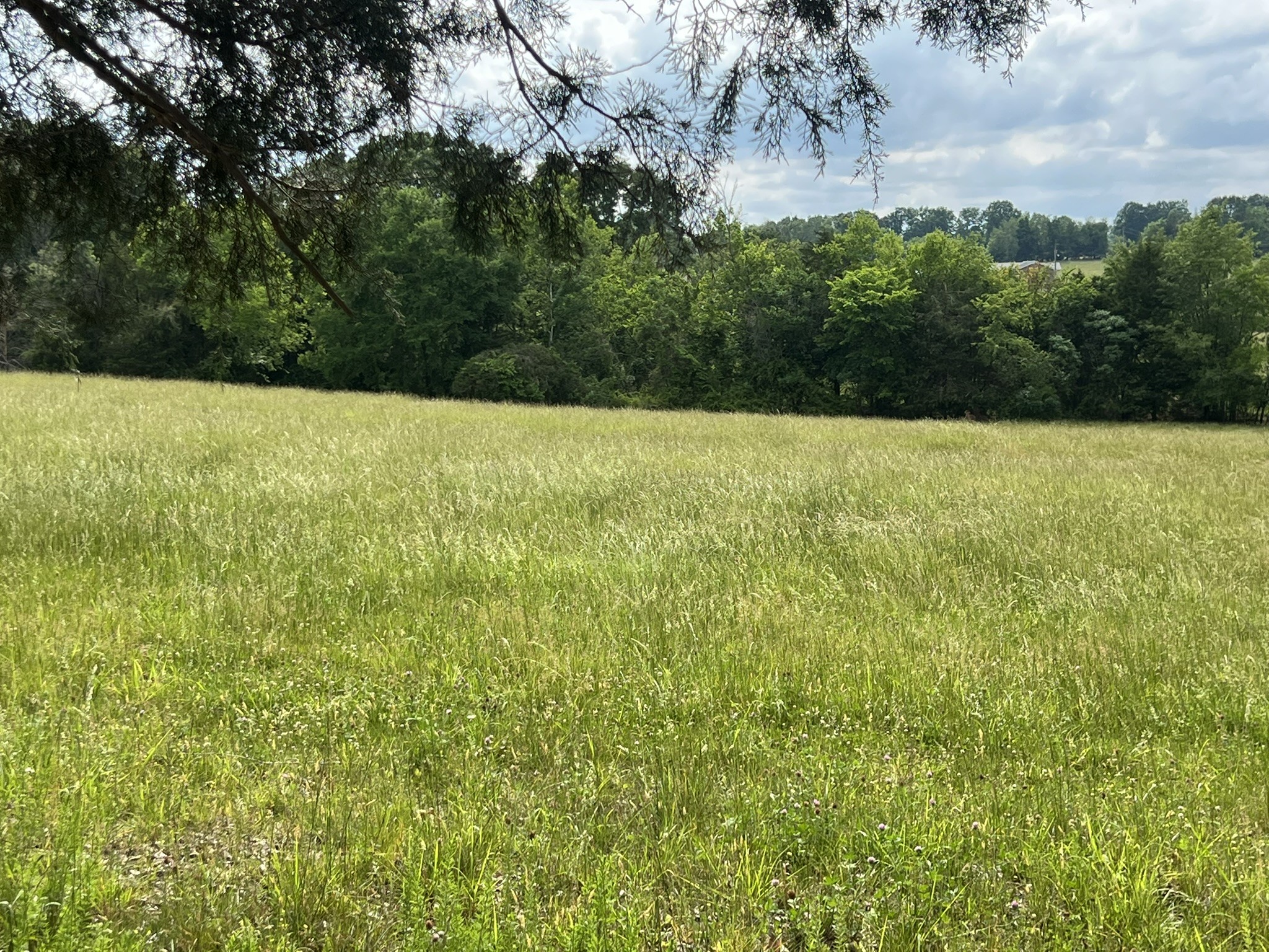 0 W George Durham Road Westmoreland TN 37186