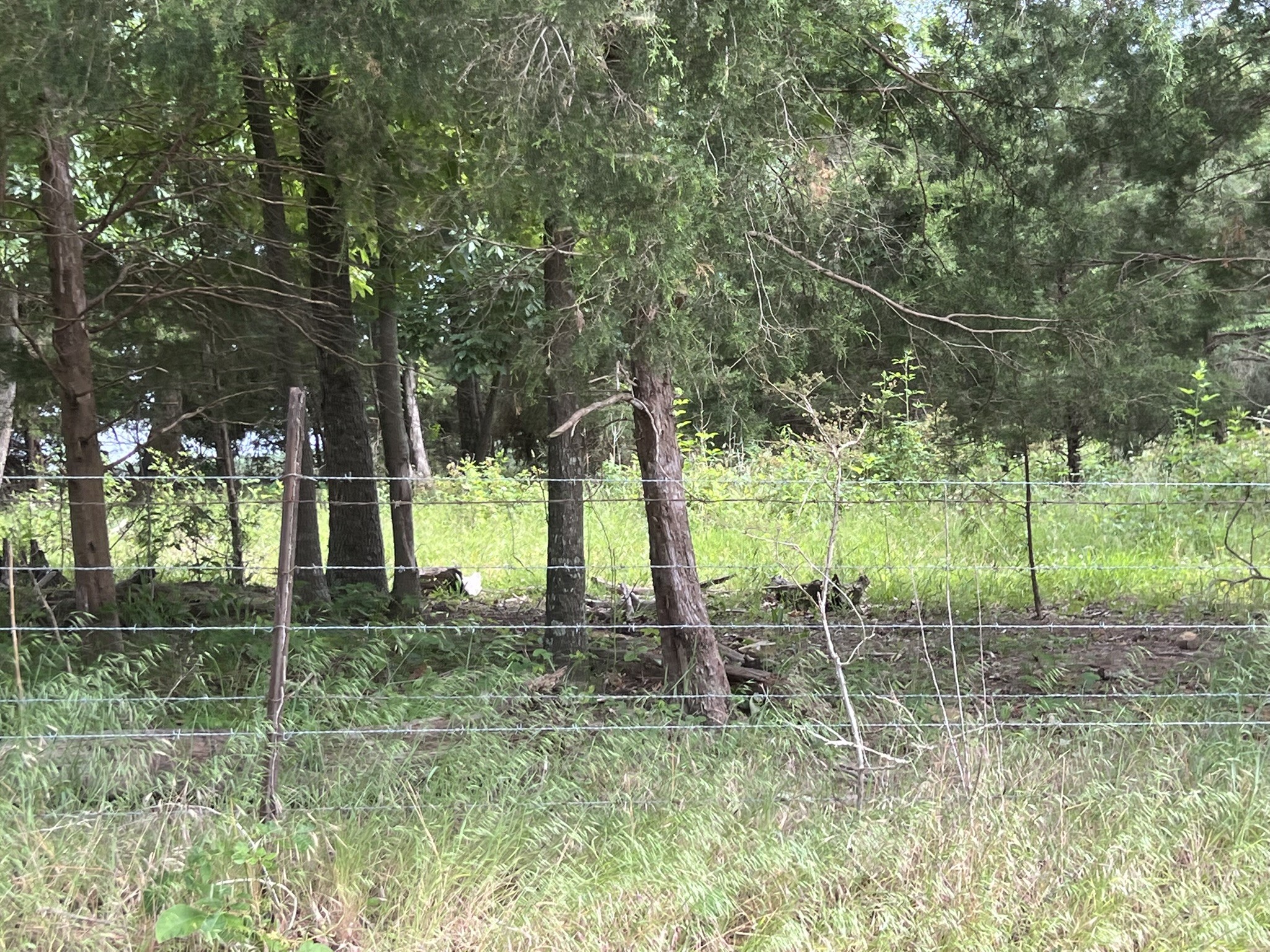 0 W George Durham Road Westmoreland TN 37186