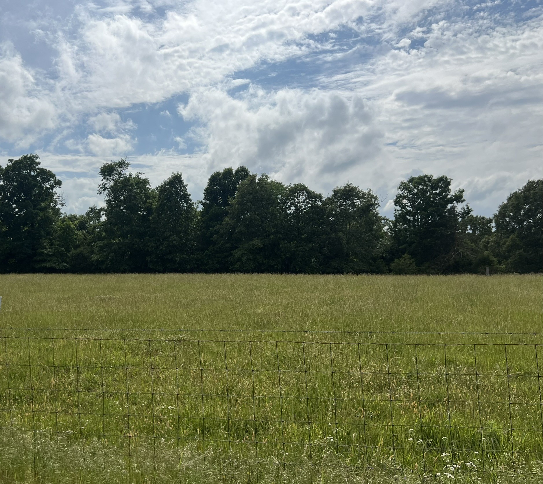 0 W George Durham Road Westmoreland TN 37186