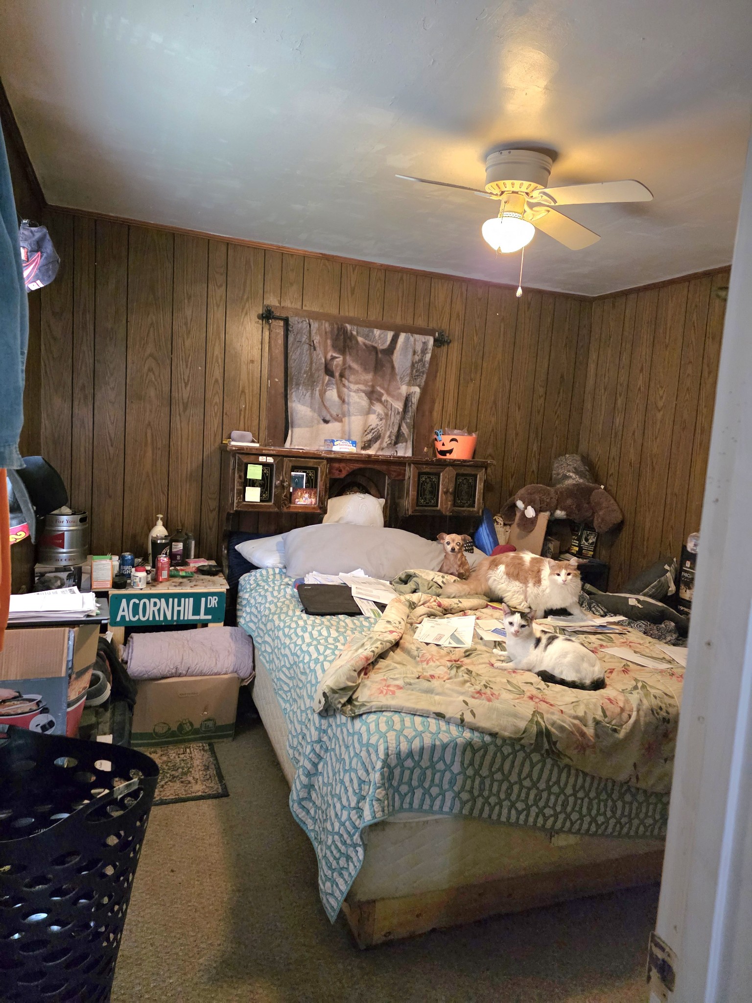 116 Skyline Drive Dickson TN 37055
