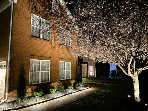 243 Wisteria Drive Franklin TN 37064