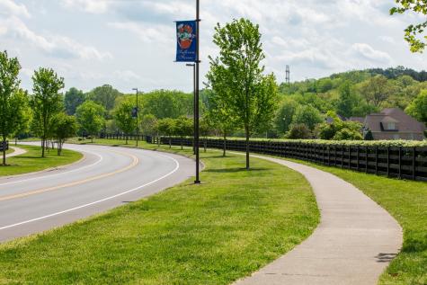 243 Wisteria Drive Franklin TN 37064