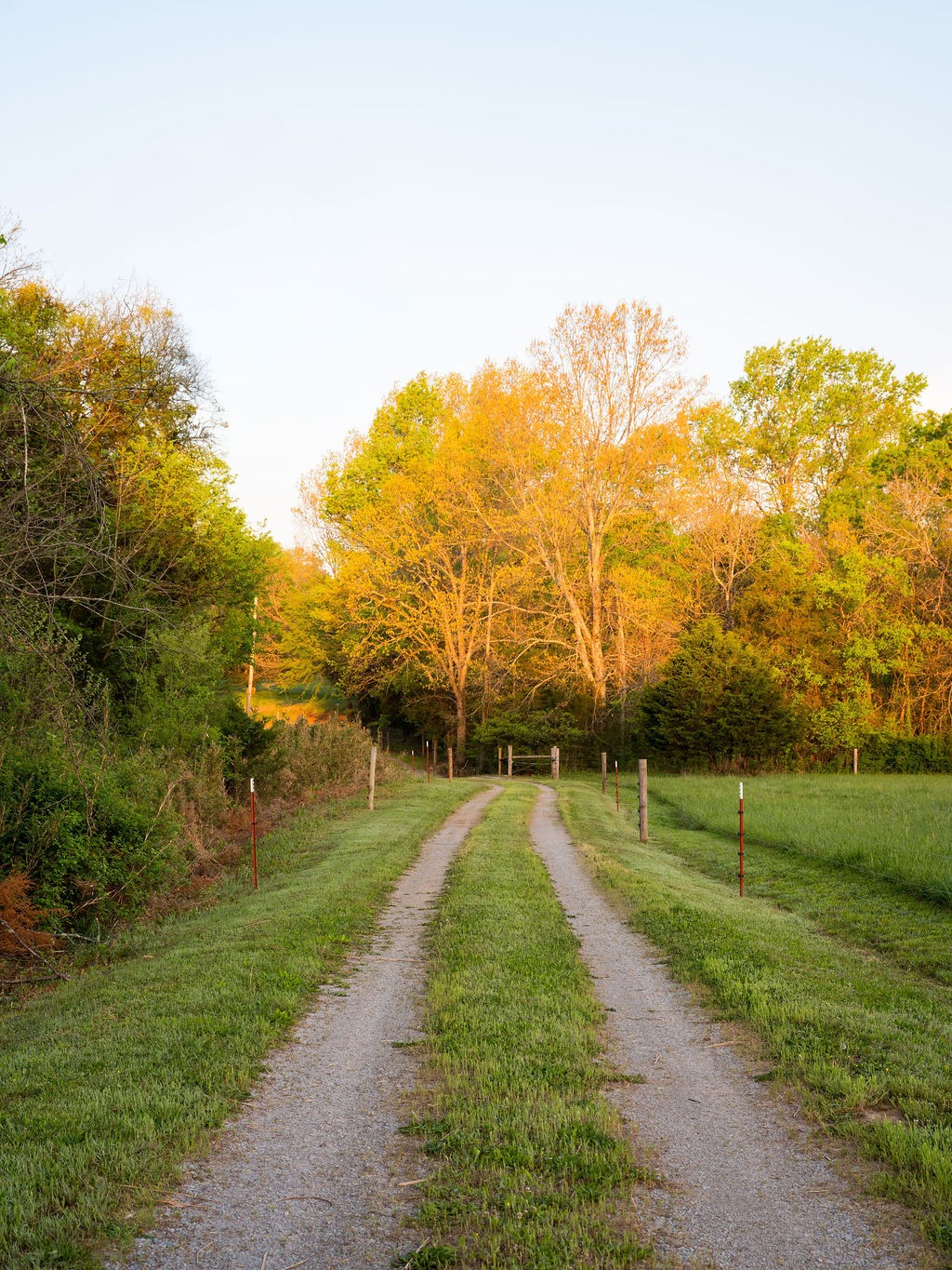 314 Bethlehem Church Road Shelbyville TN 37160