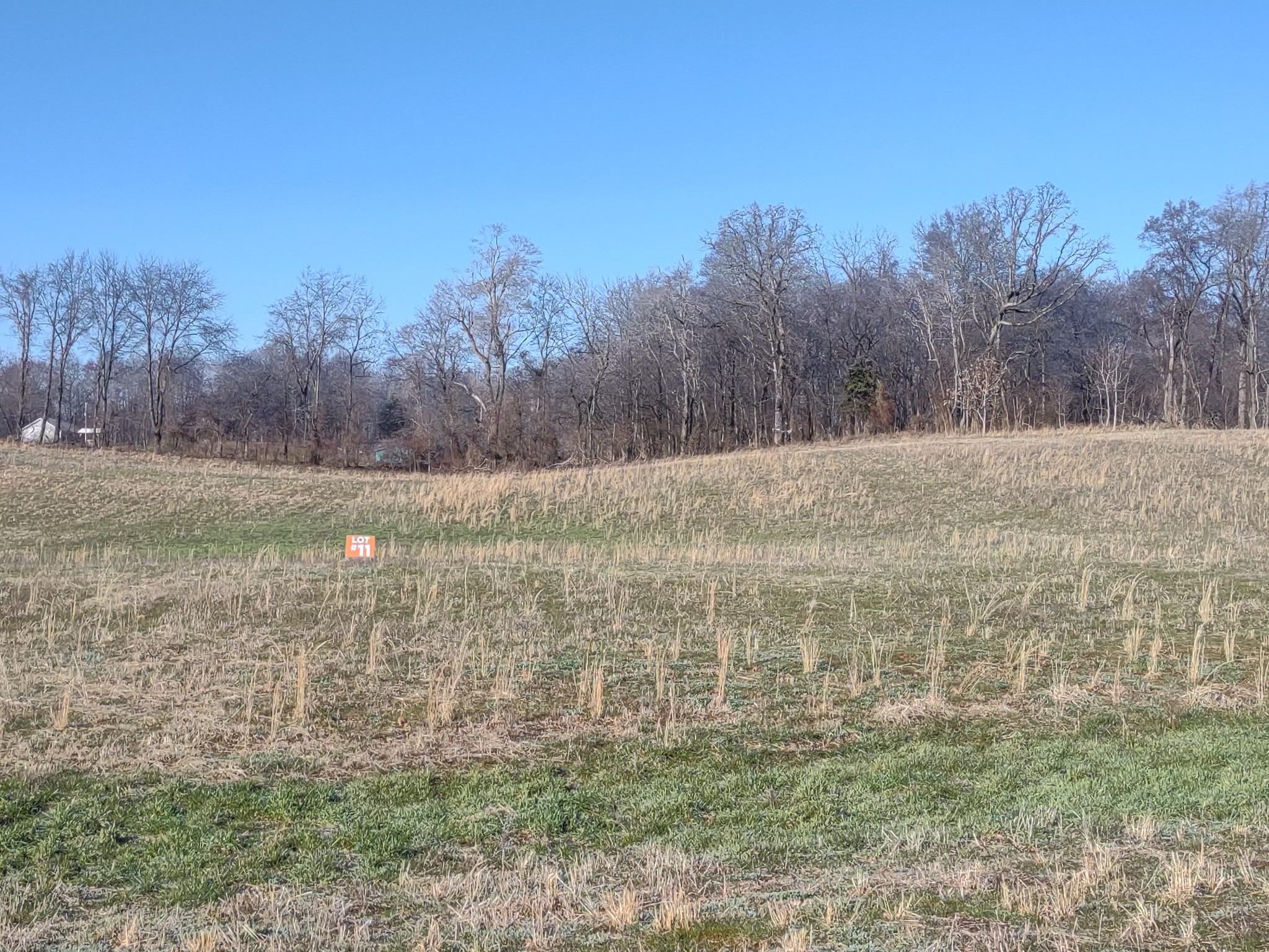 11 Highway161 Springfield TN 37172