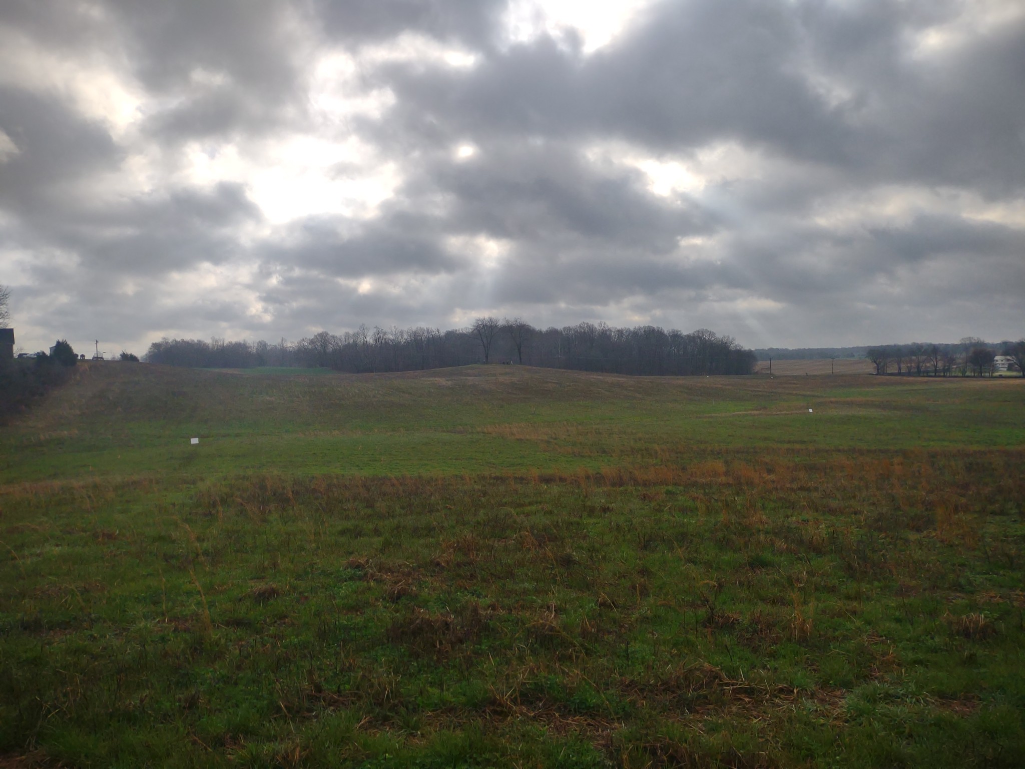 11 Highway161 Springfield TN 37172