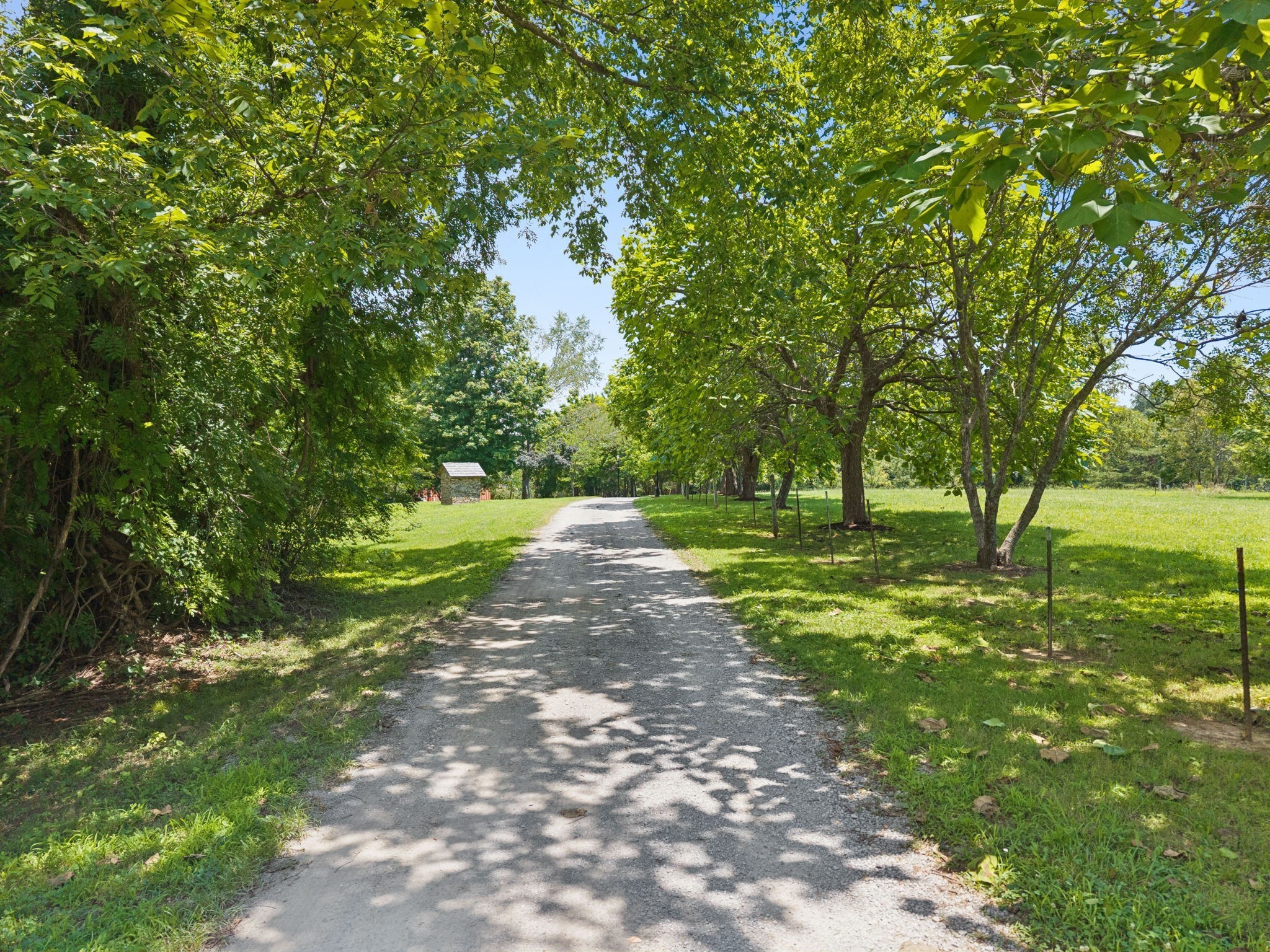 1374 Peter Pond Road Ashland City TN 37015