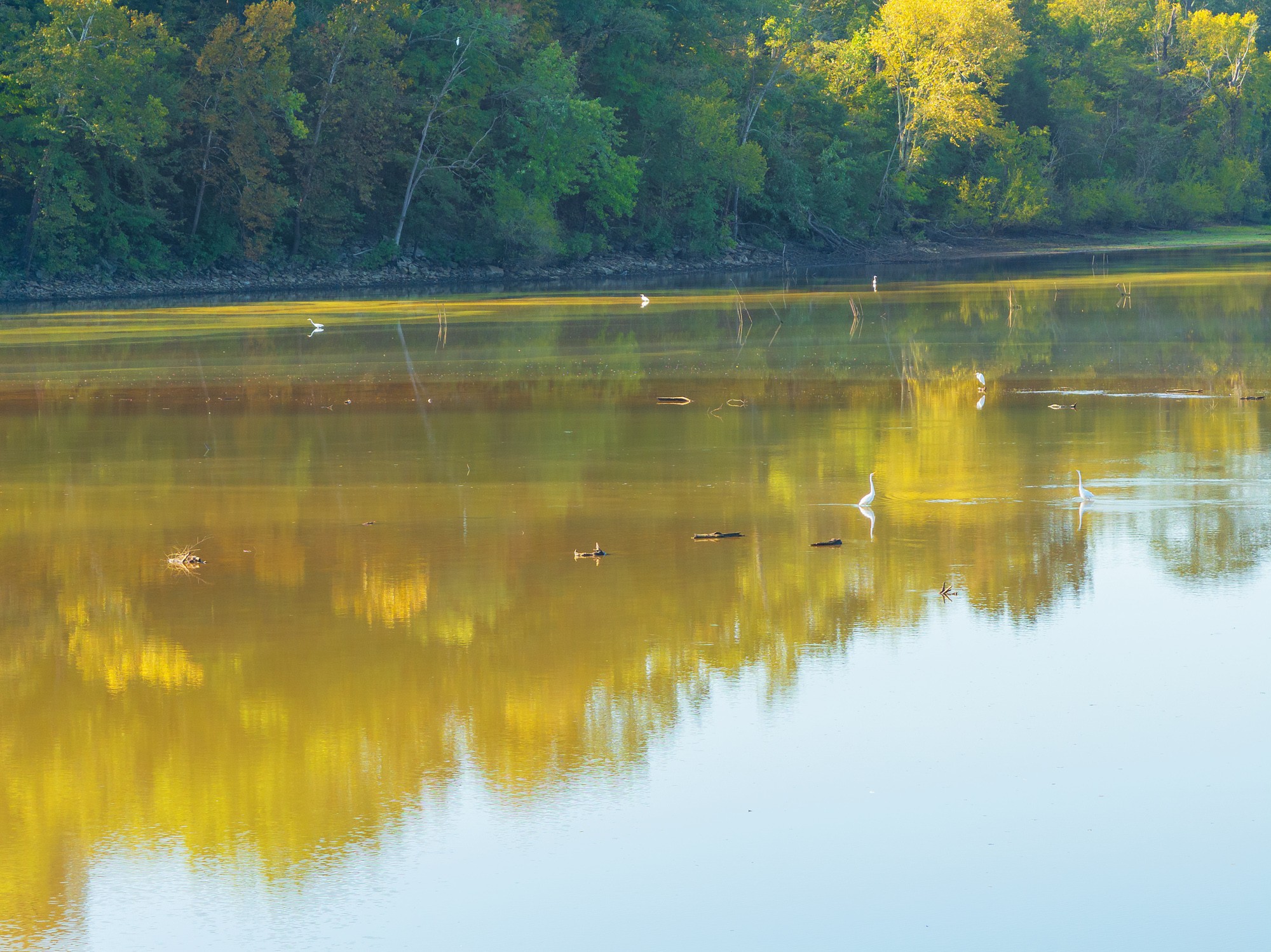 183 Featherfoot Pkwy Loop Parsons TN 38363