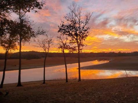 183 Featherfoot Pkwy Loop Parsons TN 38363