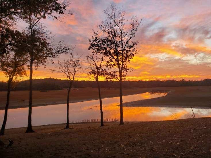 183 Featherfoot Pkwy Loop Parsons TN 38363