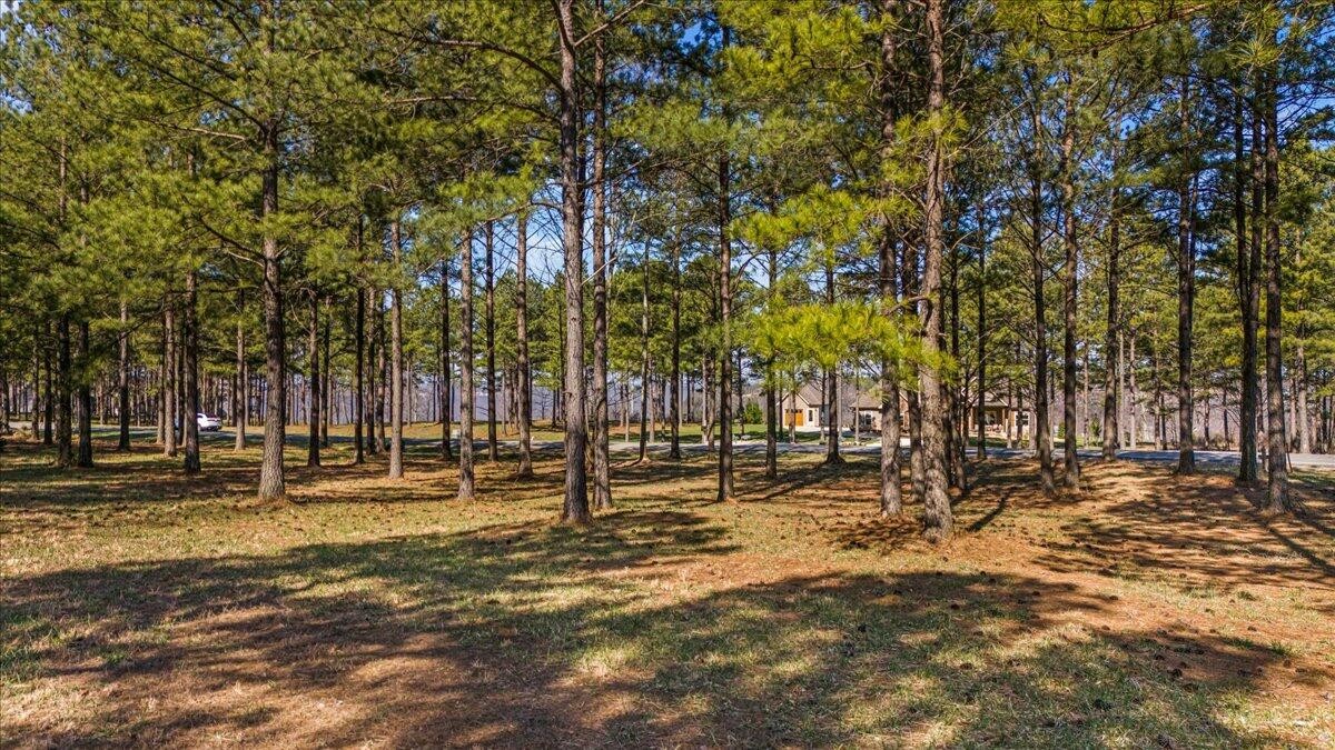 950 Cumberland Circle Jasper TN 37347