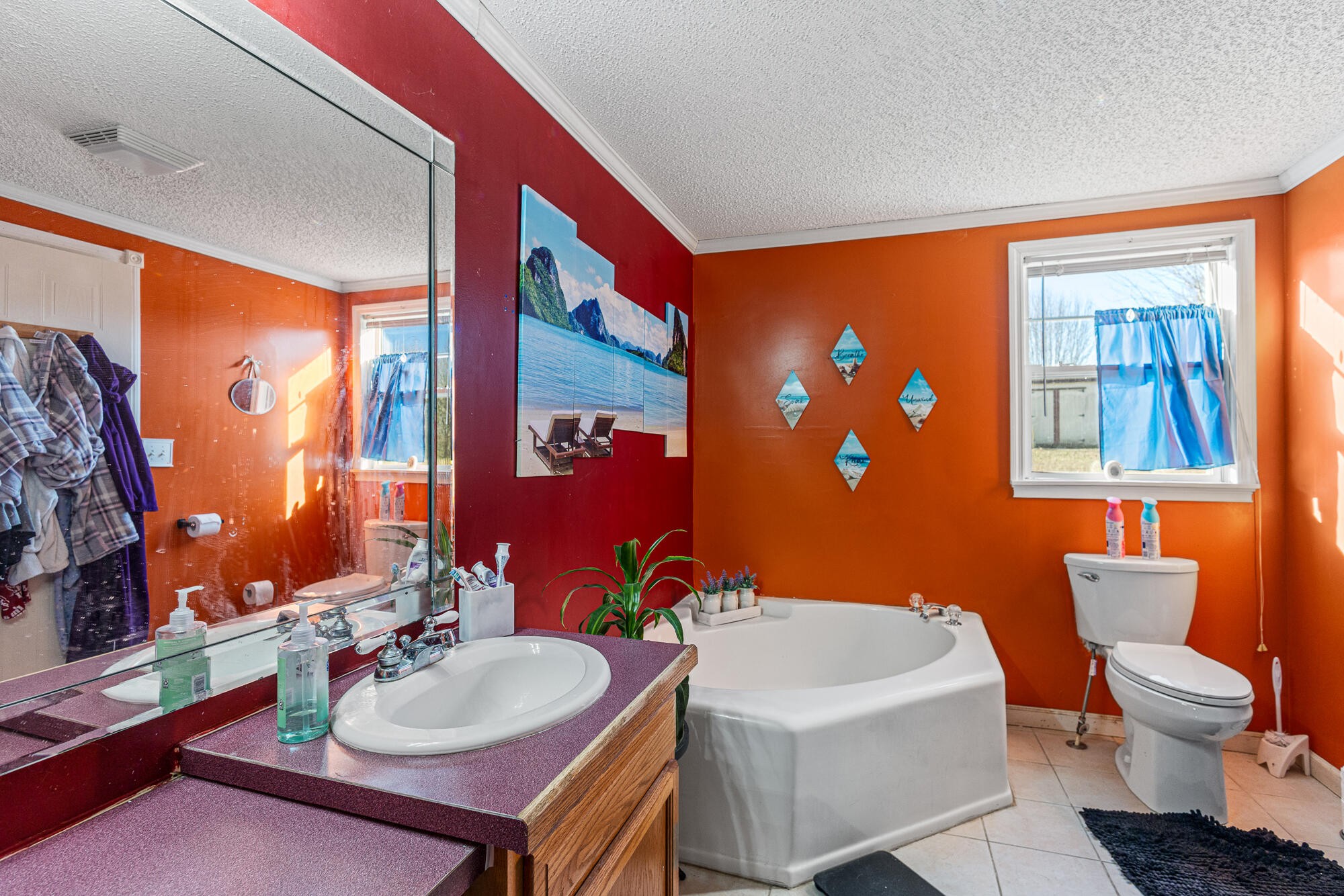 505 Lake Circle Spring City TN 37381