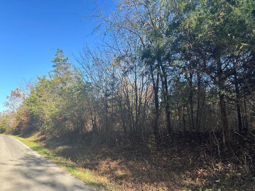 0 Mt Carmel Road Decatur TN 37322