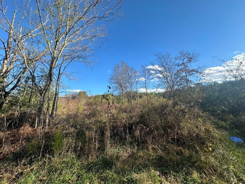 0 Mt Carmel Road Decatur TN 37322