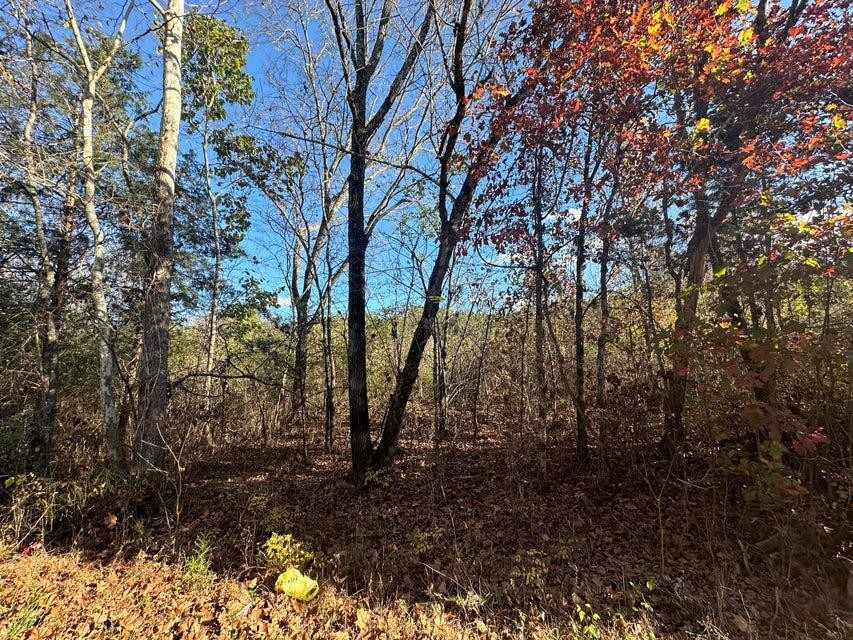 0 Mt Carmel Road Decatur TN 37322
