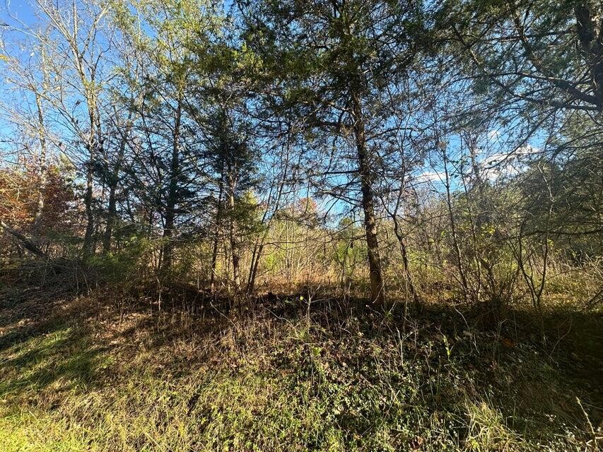 0 Mt Carmel Road Decatur TN 37322