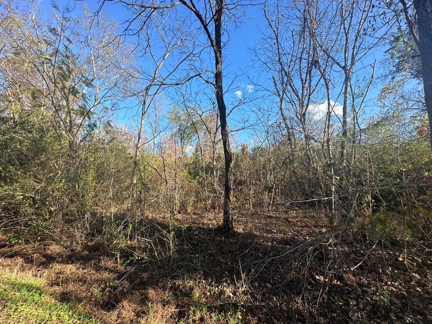 0 Mt Carmel Road Decatur TN 37322