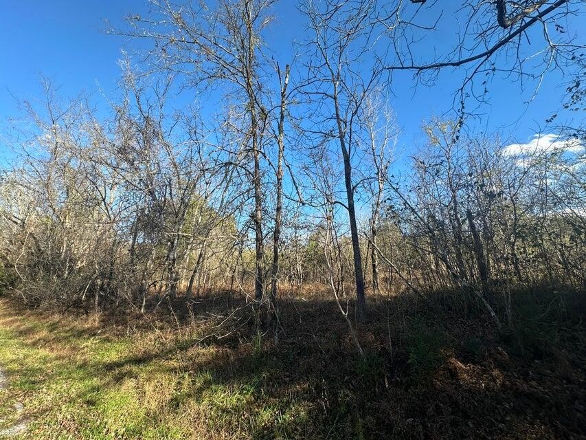 0 Mt Carmel Road Decatur TN 37322