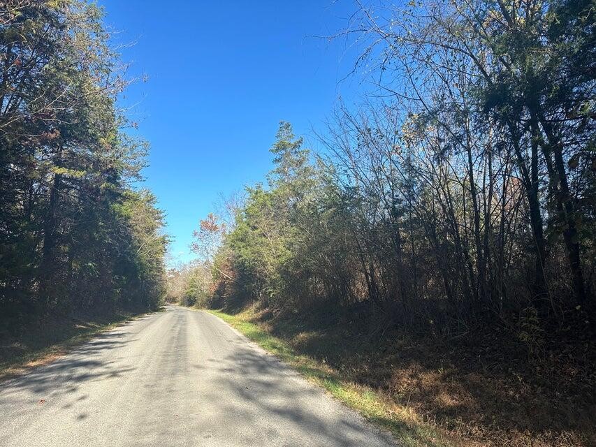 0 Mt Carmel Road Decatur TN 37322