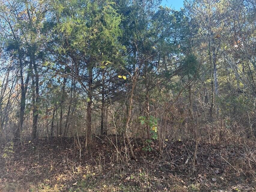 0 Mt Carmel Road Decatur TN 37322