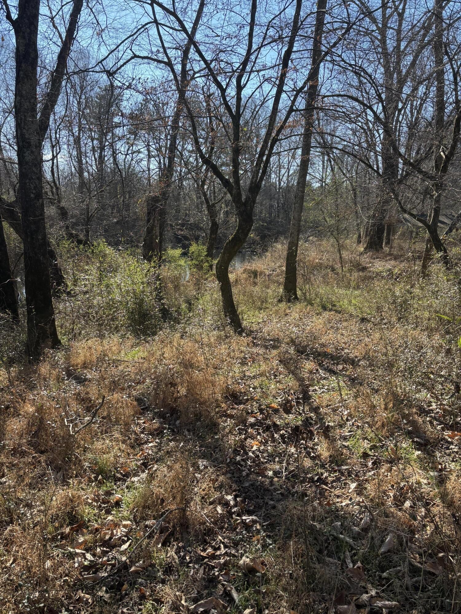 23480 U.s. 127 Dunlap TN 37327